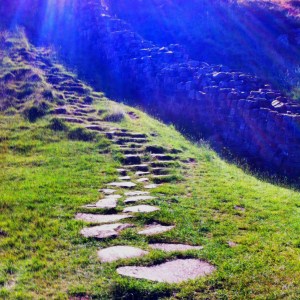 Pathway through the grass and up and into the sunlight: searching for better mental health and the support of a therapist